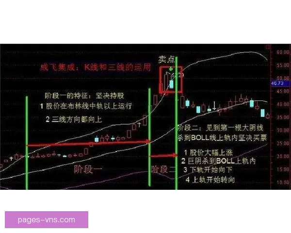 近两天十一中七压轴钟心主推巴甲信心强势继续冲击稳健分析精选方案胜率提升